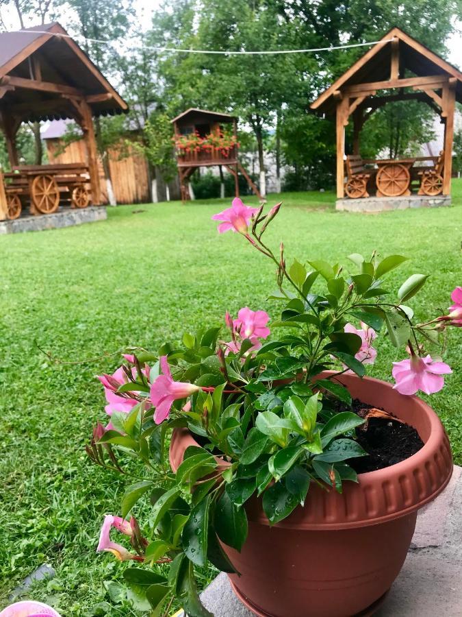 Отель Casa La Bella Vista Мойсей Экстерьер фото